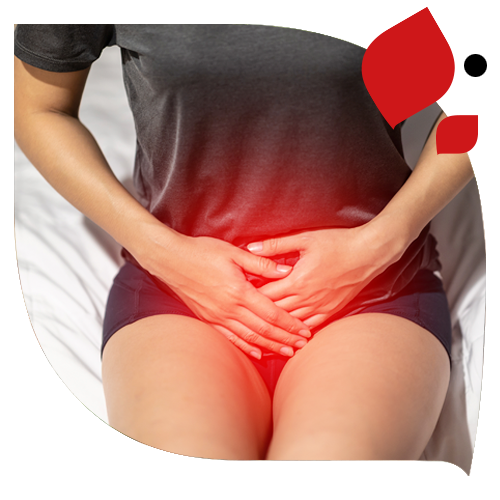 Ingredientes_CISTITIS