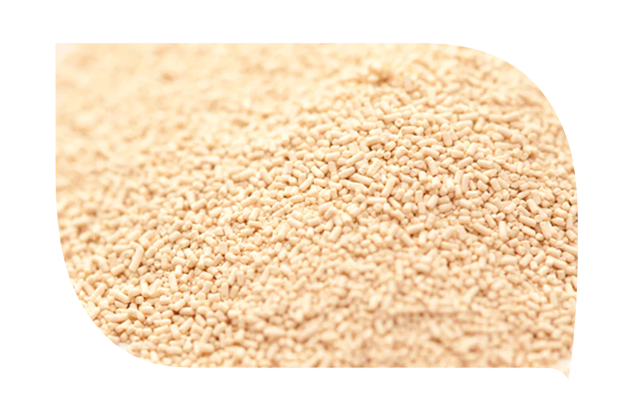 Sabias_-_Levadura_de_Cereveza