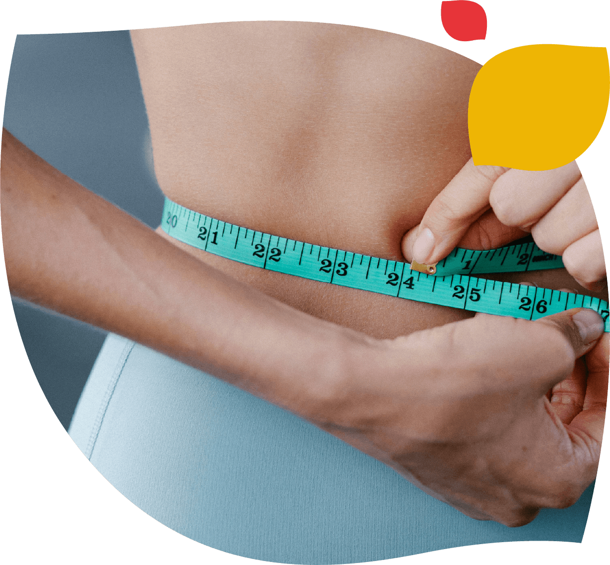 Imagen que ilustra la gama Forte Detox de Forte Farma