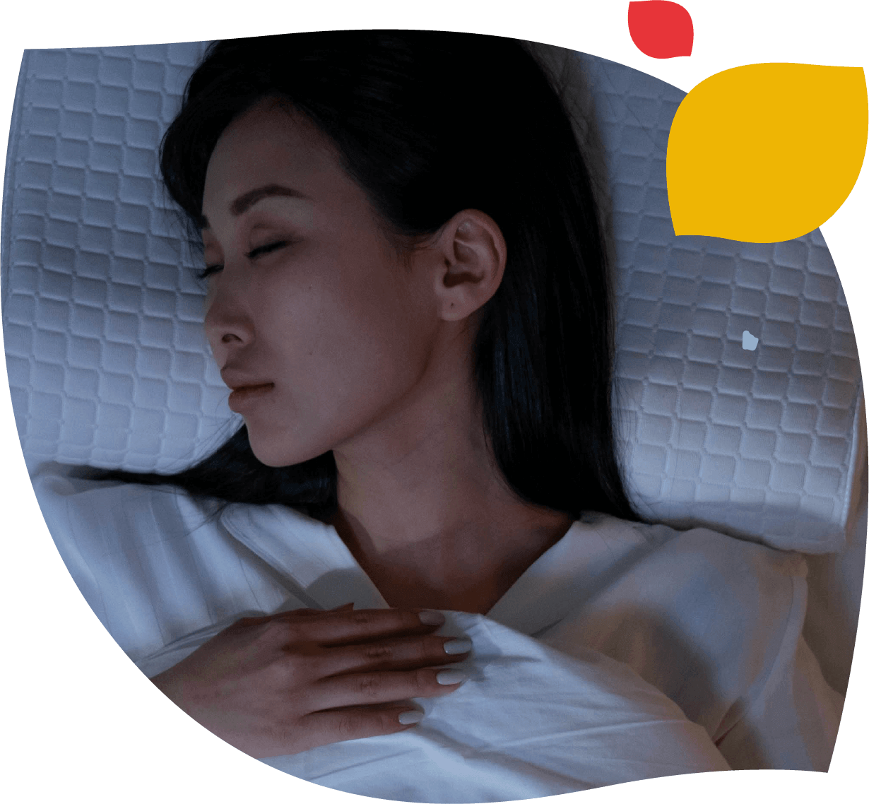 Imagen que ilustra la gama Forte Noche de Forte Farma