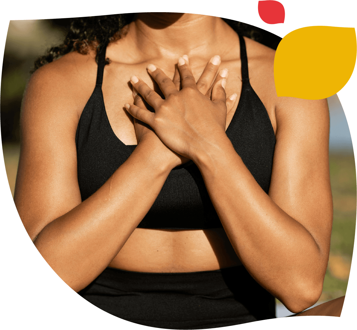 Imagen que ilustra la gama Jalea Real de Forte Farma