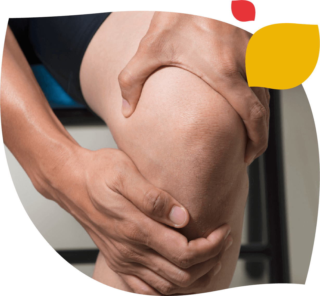 Imagen que ilustra la gama Tendoactive de Forte Farma