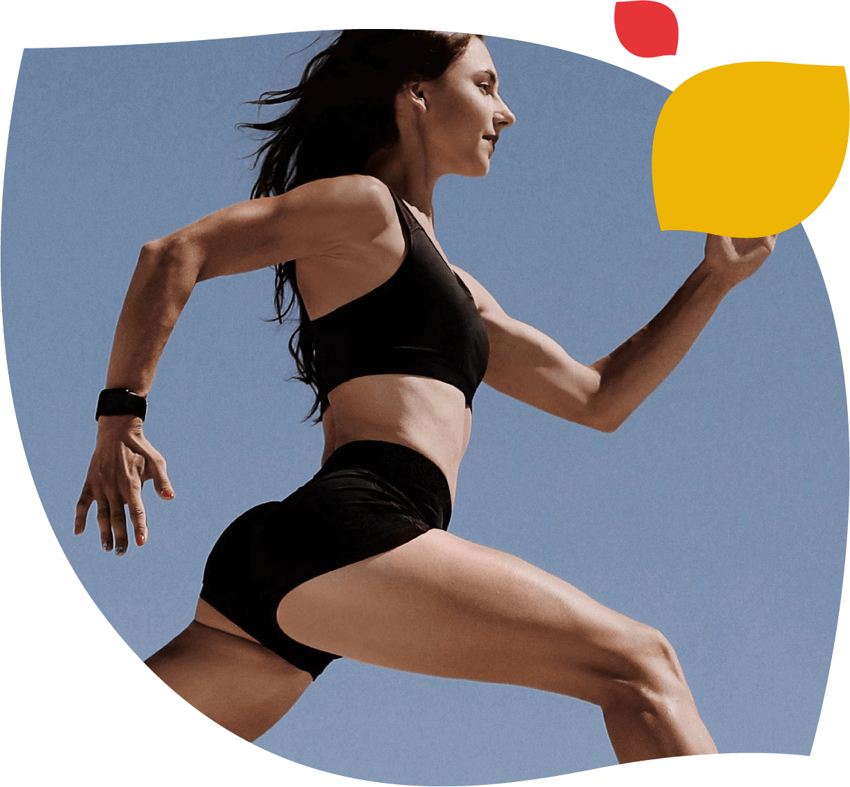 Imagen que ilustra la gama Xtraslim de Forte Farma