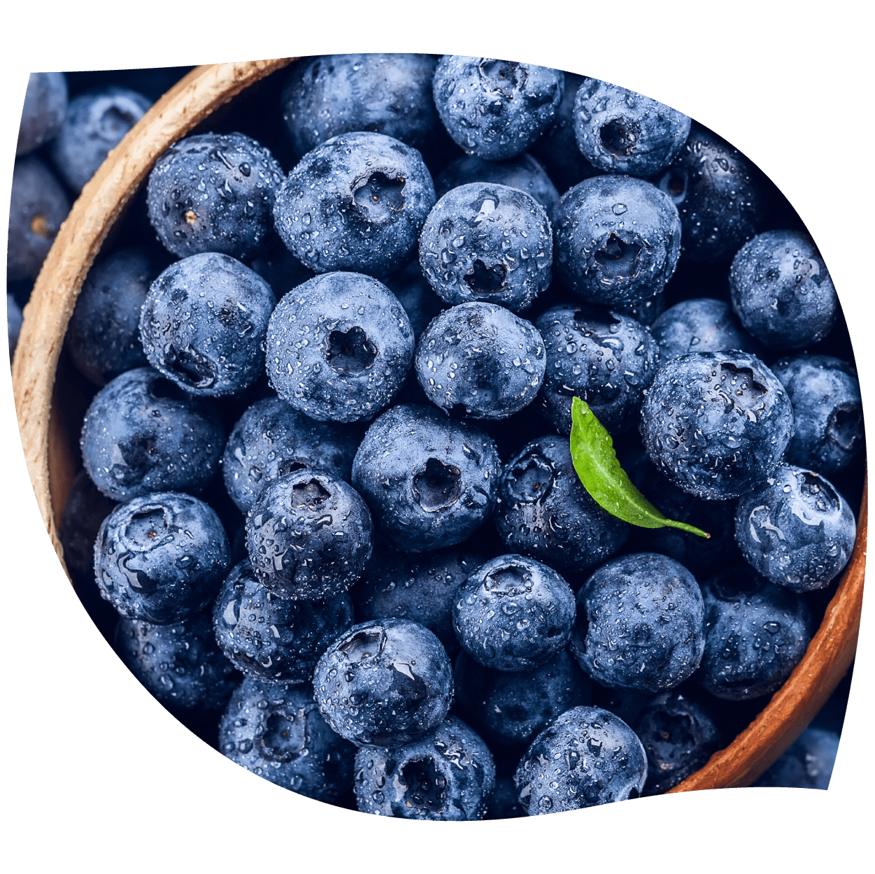 Imagen de arándano fresco representando su color natural