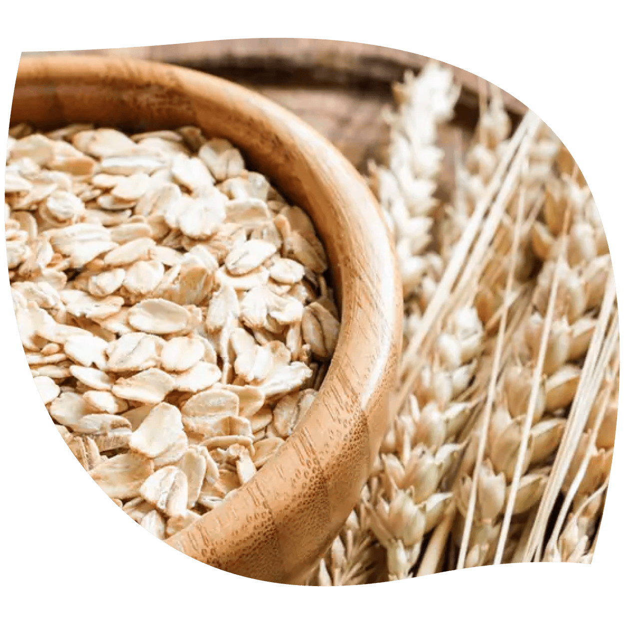 Imagen de avena real mostrando granos y textura