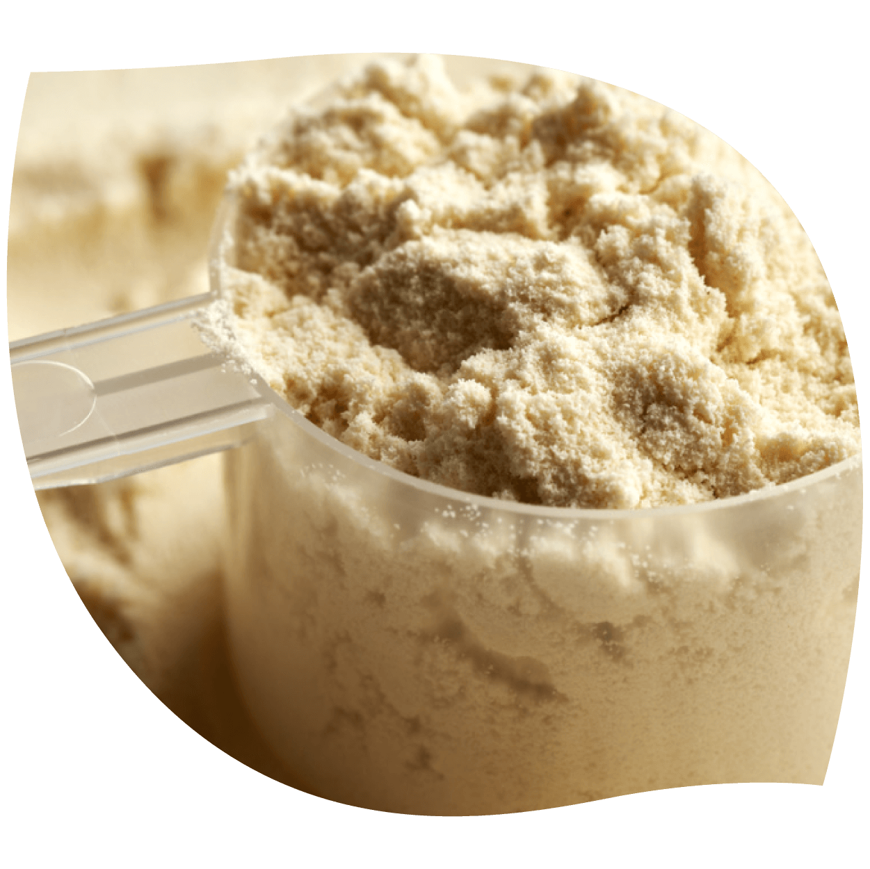 Imagen de cocristal cannabidiol l-prolina mostrando cápsula