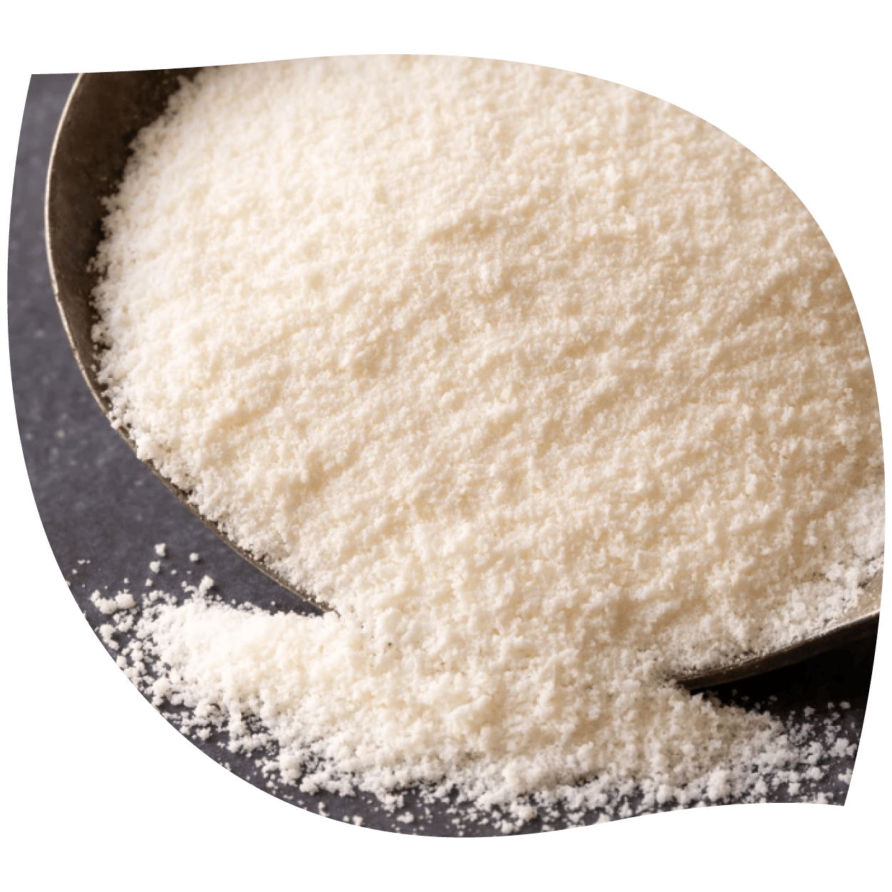 Imagen de colágeno nativo tipo II mostrando textura