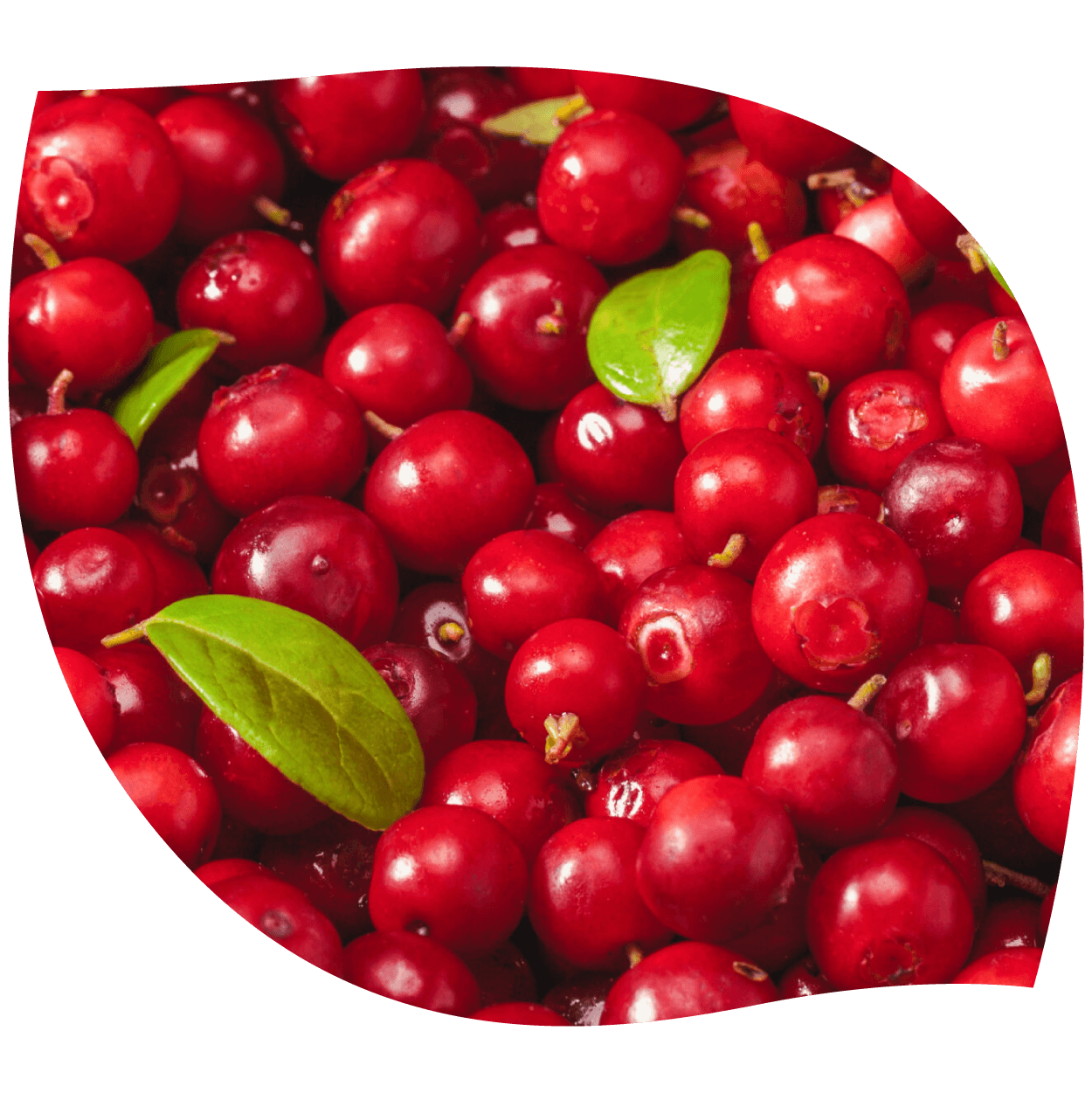 Imagen de D-manosa en cápsula o polvo