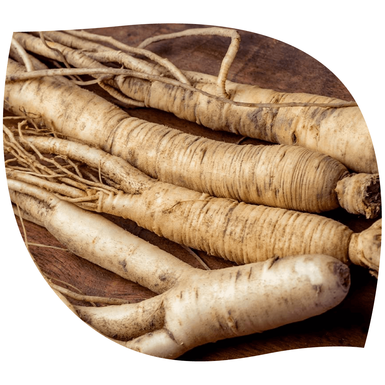 Imagen de ginseng mostrando raíz natural