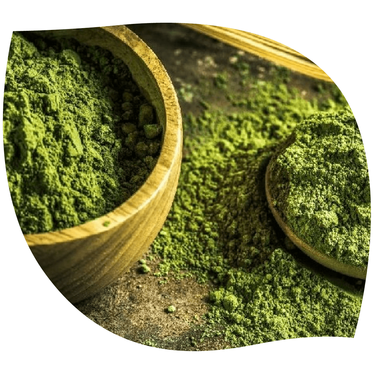 Imagen de L-teanina en cápsula o polvo