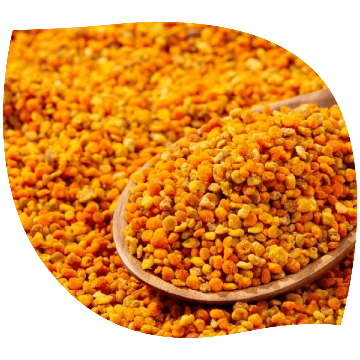 Imagen de polen en gránulos