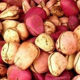 nuez_cola_ingrediente